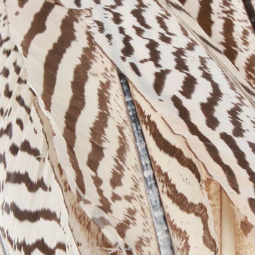 Artikel Fasan Federn Braun Beige für Floristik Dekoration 20cm 20St