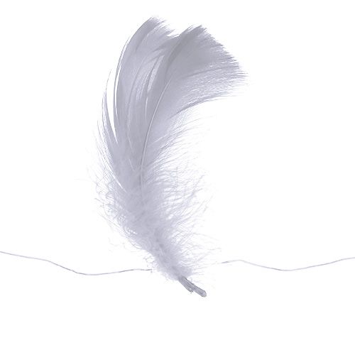 Floristik21 Feder am Draht Weiß 10m