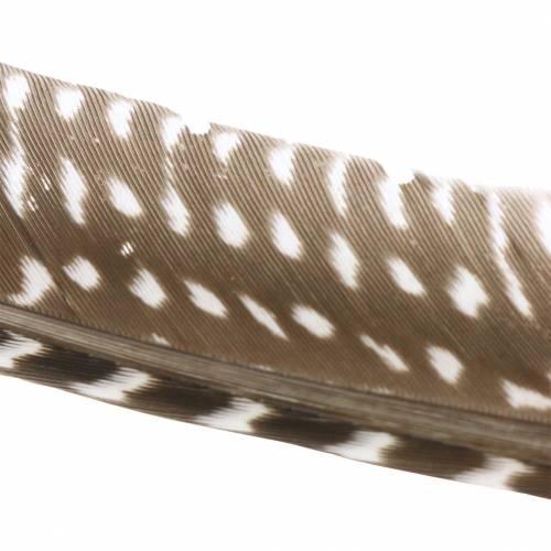 Federhalter Aus Naturholz – 24 Stück, Klassisches Schreibzubehör