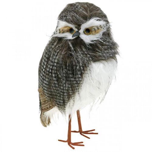 Waldeule, Winterdeko, Deko-Kauz, Herbst H41cm