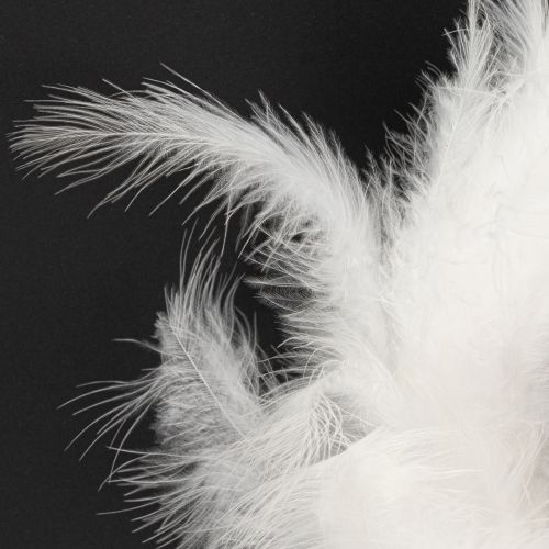 Artikel Weißer Federkranz für elegante Hochzeitsdeko und stilvolle Osterdekoration, 20 cm