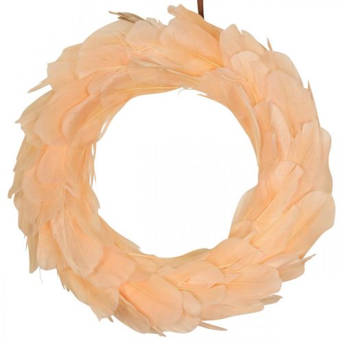 Floristik21 Federkranz Orange Kranz zum Aufhängen Türkranz Ø20cm 3St