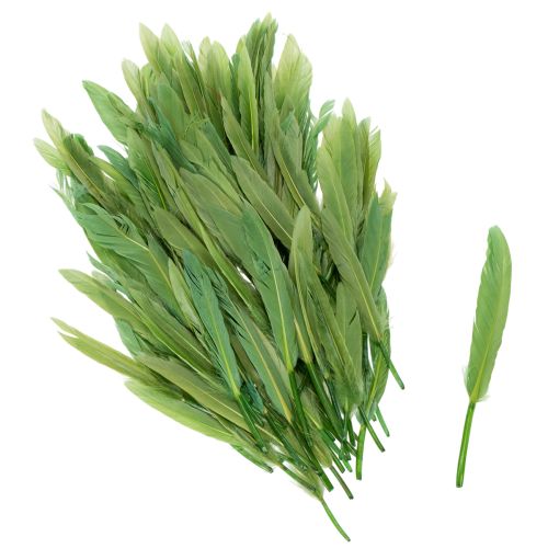Dekorative grüne Federn 10cm für kreative und elegante Dekoration