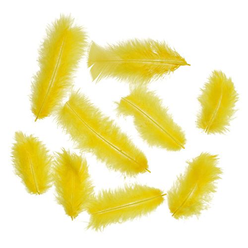 Federn kurz 30g Goldgelb