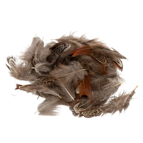 Floristik21 Natürliche Deko-Federn 5cm Braun Beige 3g für Floristik und kreative Bastelprojekte