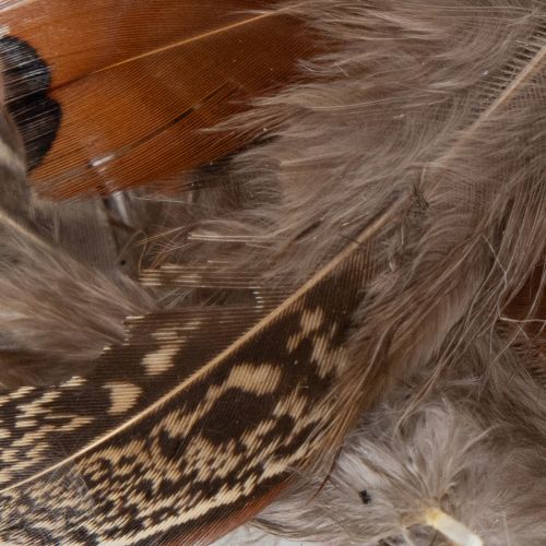 Artikel Natürliche Deko-Federn 5cm Braun Beige 3g für Floristik und kreative Bastelprojekte