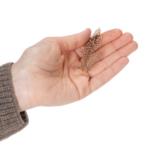 Artikel Natürliche Deko-Federn 5cm Braun Beige 3g für Floristik und kreative Bastelprojekte