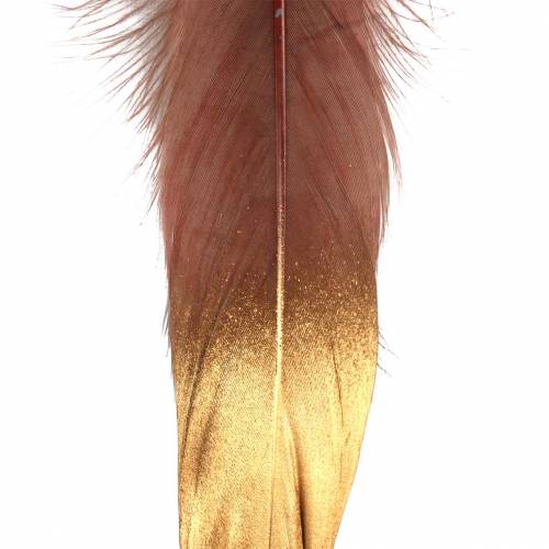 Federn Burgund, Gold 18-23cm 24St