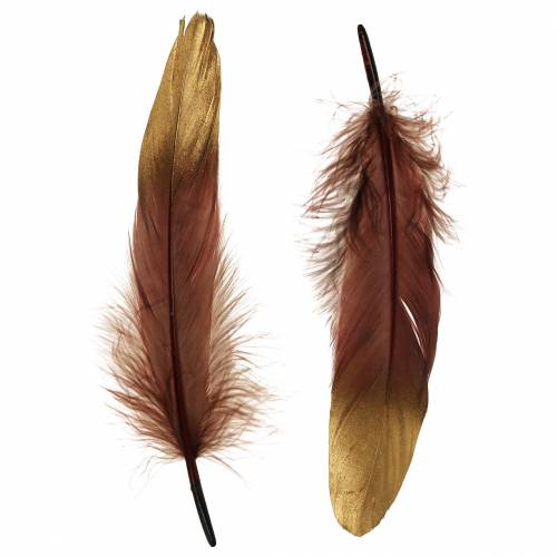 Floristik21 Federn Burgund, Gold 18-23cm 24St