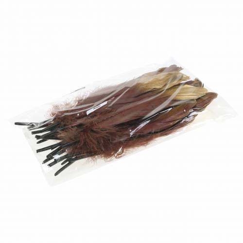 Floristik21 Federn Burgund, Gold 18-23cm 24 St