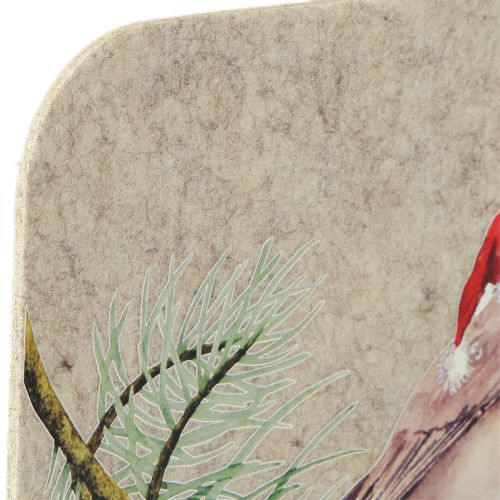 Artikel Filz Tischmatten Set Grau mit Rotkehlchen Motiv 40x30cm 4 Stück