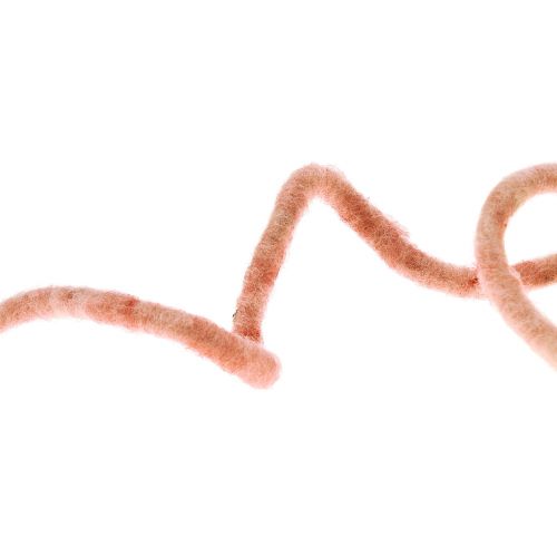 Filzschnur Wollkordel mit Draht Rauris Draht Rosa 20m