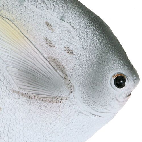 Deko Fisch L21cm