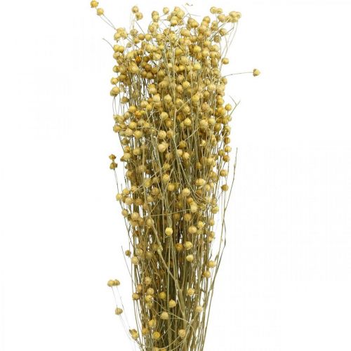 Getrockneter Flachs, Trockenfloristik, natürlichen Lein Naturfarben L40–55cm 85g