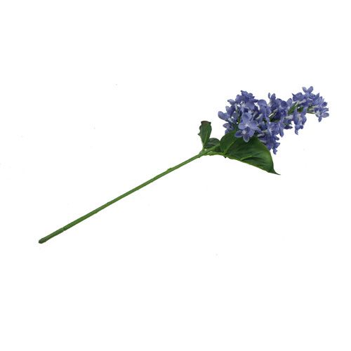 Floristik21 Fliederzweig Violett 40cm