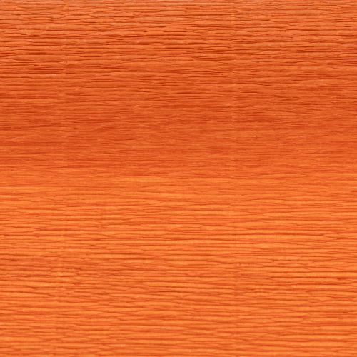 Floristen-Krepppapier Orange 50 x 250 cm Rolle | Floristik21.de