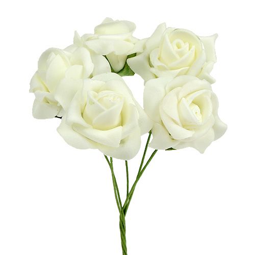 Foam Rose Ø3,5cm Creme 48 St einkaufen | Floristik21.de
