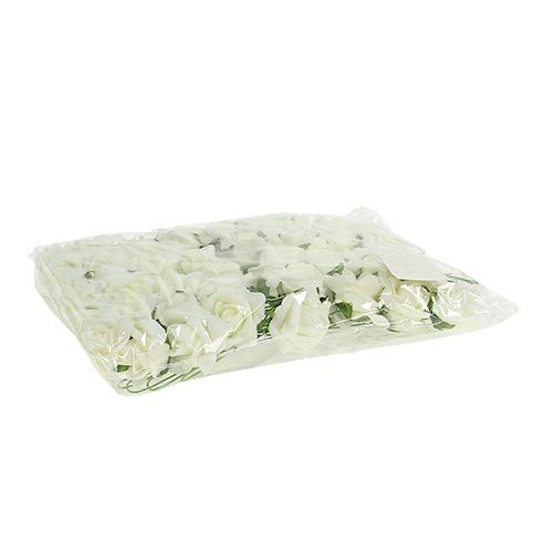 Foam Rose Ø3,5cm Creme 48 St | Floristik21.de