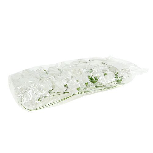 Foam Rose Ø4,5cm weiß 36St