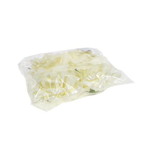 Foam Rosen Creme Ø15cm 4St