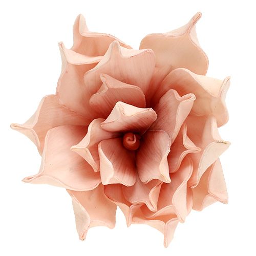 Floristik21 Foamblüte Magnolia Rosa Ø15cm L65cm