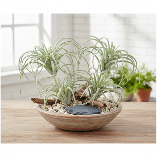 Artikel Tillandsia Sukkulente künstliche Grünpflanzen 13cm