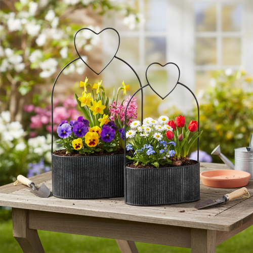 Artikel Deko Schale Oval Metall Herz Schwarz 20/16cm 2er-Set für elegante Raumdekoration