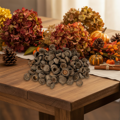 Artikel Eichelkappen Natur Braun 2cm 300g Dekoration Herbst Advent