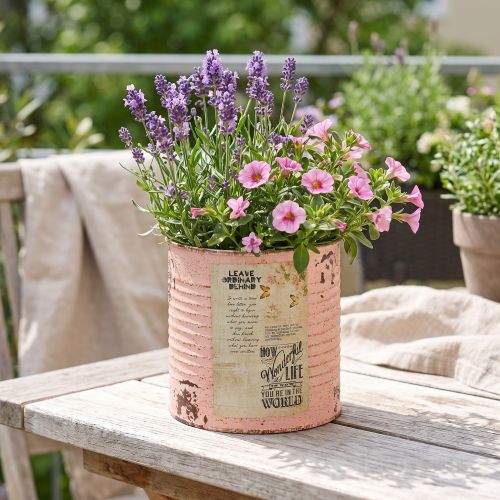 Blumentopf Deko Dose Lachs Metall Sommerdeko Ø11cm H10,5cm | Floristik21.de