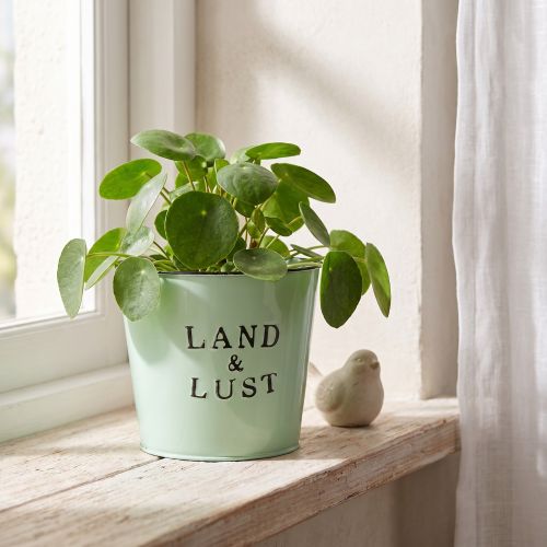 Blumentopf Mint Metall Übertopf Landhaus Ø17cm H15,5cm | Floristik21.de