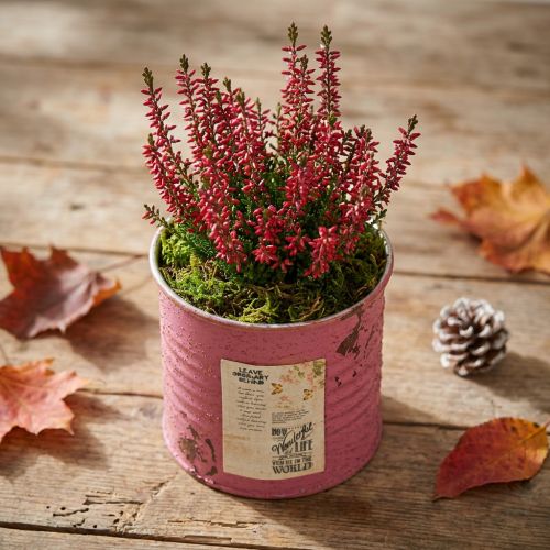 Pflanzdose Deko-Dose rund Lila Metall Vintage-Deko Ø8cm H7,5cm | Floristik21.de