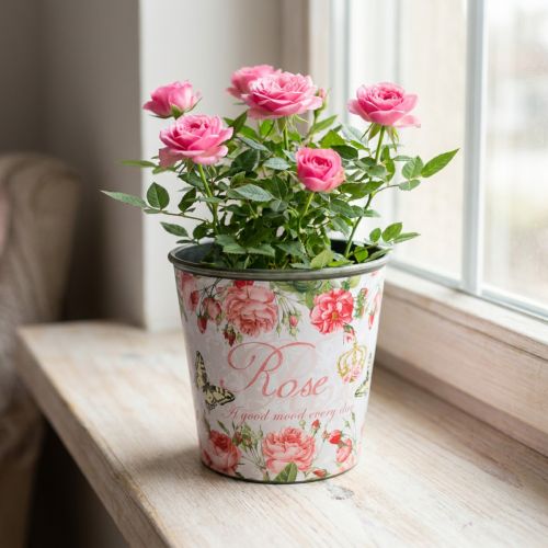 Pflanzgefäß, Eimer zum Bepflanzen, Übertopf mit Rose H13cm Ø13,5cm | Floristik21.de