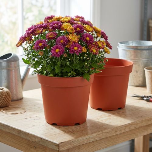 Pflanztopf Kunststoff Ø21cm, Pflanzgefäß Terrakotta, 10 Stück | Floristik21.de