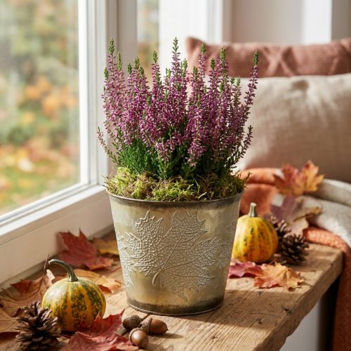Übertopf für den Herbst, Blecheimer mit Blattdekor, Metallgefäß Golden Ø14cm H12,5cm | Floristik21.de