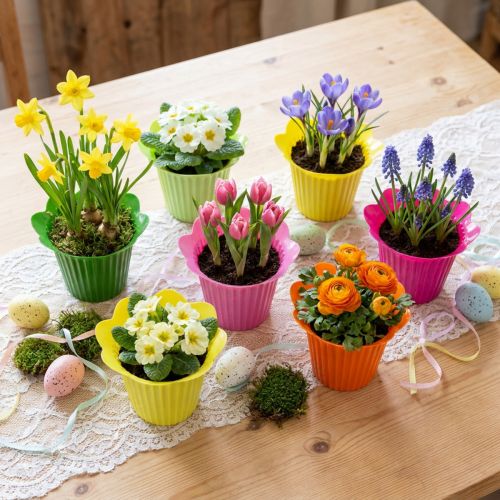 Plastiktopf Blüte Ø12cm 25 St | Floristik21.de