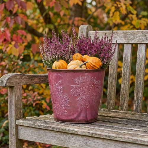 Pflanzgefäß, Metalleimer mit Blättern, Herbstdeko Weinrot Ø18cm H17cm | Floristik21.de