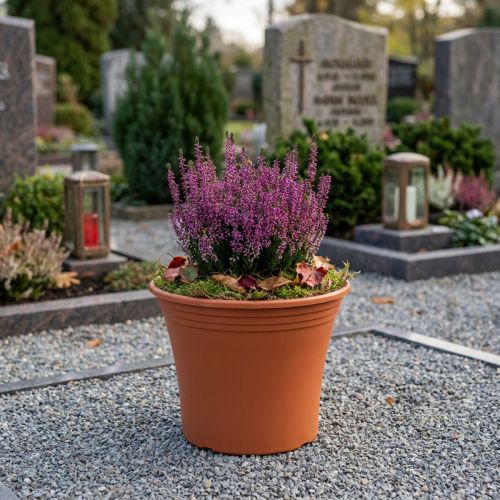 Topf „Irys“ Plastik Terrakotta Ø15cm H13cm 1 St | Floristik21.de