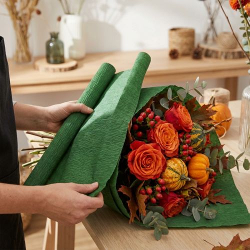Floristen-Krepppapier Dunkelgrün 50x250cm | Floristik21.de