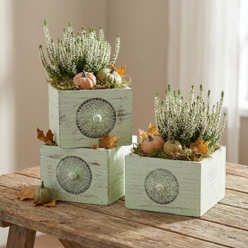 Pflanzkasten Deko Schublade Shabby Grün 15-23cm 3er-Set | Floristik21.de