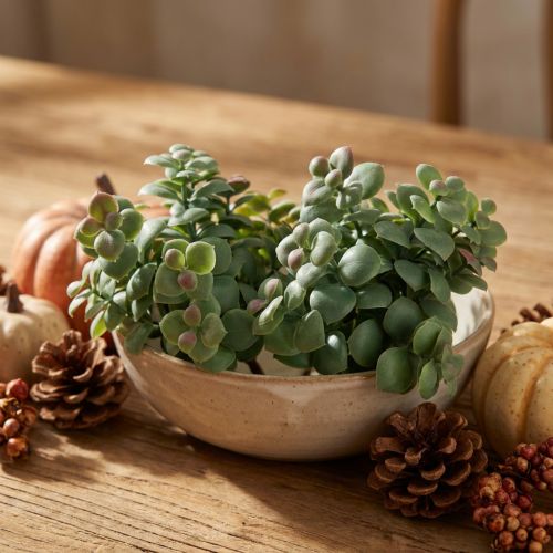 Künstlicher Eukalyptus Kunstpflanzen zum Stecken 18cm 4St | Floristik21.de