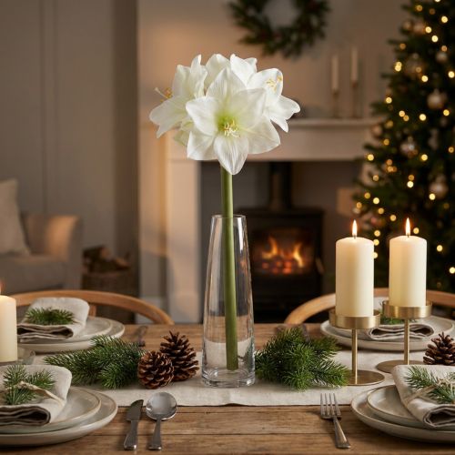 Kunstblume Amaryllis Weiß mit Stiel 50 cm für Advent und Weihnachten | Floristik21.de
