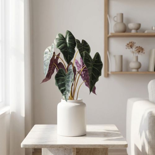 Alokasie Pfeilblatt Grün, Violett Kunstpflanze H48cm | Floristik21.de