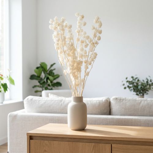 Artikel Getrocknete Physalis gebleicht 75–80 cm für edle Dekorationen 100g