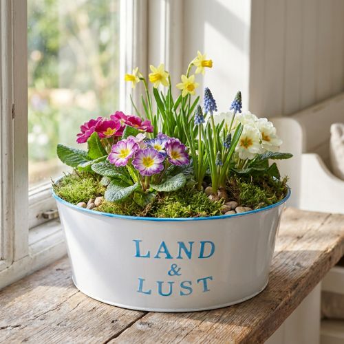 Blumenschale rund Pflanztopf Weiß Übertopf Metall 25×10cm | Floristik21.de