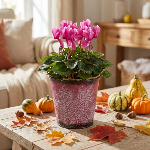 Übertopf mit Blattdeko, Metallgefäß, Herbst, Pflanztopf Weinrot Ø10cm H10cm | Floristik21.de