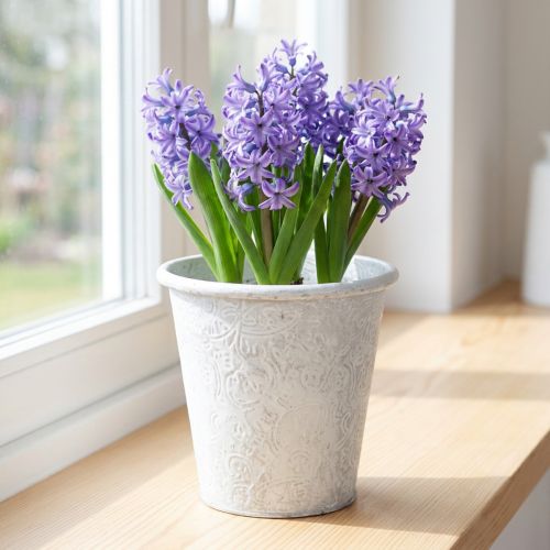 Pflanztopf mit Ornamenten, Übertopf, Metallgefäß Weiß Ø15,5cm H14,5cm | Floristik21.de