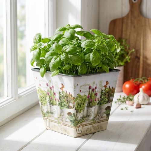 Kräutertopf, Übertopf mit Motiv, Pflanzgefäß H13cm B13,5cm | Floristik21.de