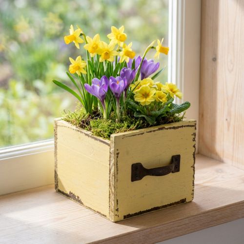 Pflanzschublade Holz Deko Pflanzkasten Gelb 12,5cm | Floristik21.de