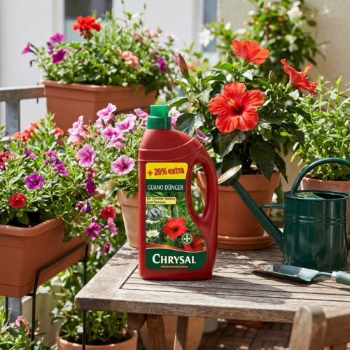 Artikel Chrysal Guano Dünger für Zimmer, Balkon 1L