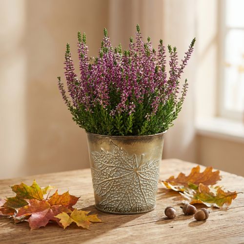 Artikel Pflanzgefäß für den Herbst, Metalltopf mit Blattdeko, Übertopf Golden Ø10cm H10cm